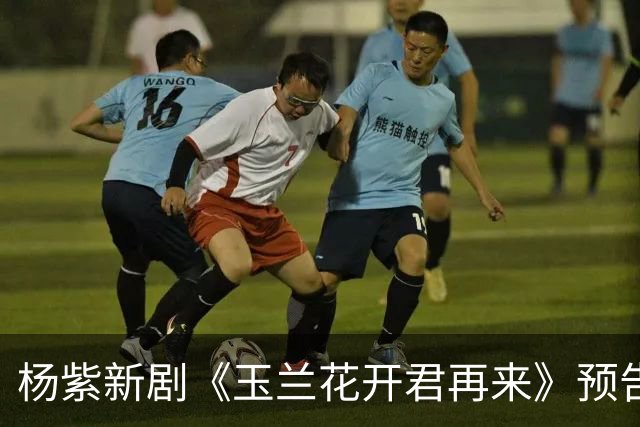 杨紫新剧《玉兰花开君再来》预告，方言环境故事代入感好强